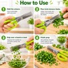 5-Layer Kitchen Scissors for Herb Prep – Multi-Blade Cutter for
