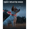 HSIGIO Martingale Dog Collar, No Slipping Out Reflective Puppy Collar