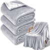 NovaSunrise 3-Pack Fleece Throw Blankets 50x60, 300GSM Soft Flannel Plush