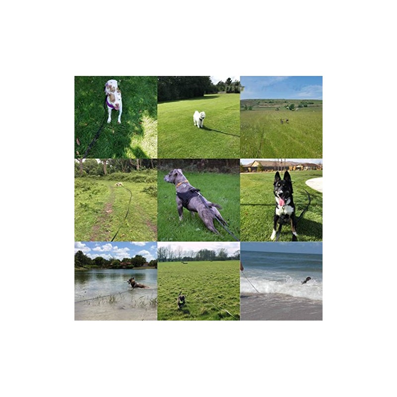2pcs Correa para Perros, 15m Larga Correa de Entrenamiento para