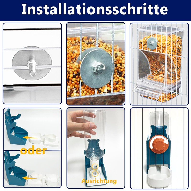Automatic Feeder Birds and Water Dispenser Transparent Acrylic Bird Feeder