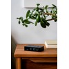 LEXON Flip Premium LCD Alarm Clock, Black, USB-Type C Charging,