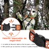 12 Collares para Gatos Reflectantes con Campana