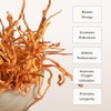 Cordyceps Mushroom Capsules by Bloomable I Energy and Endurance (120