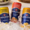 San Pellegrino Sparkling Fruit Beverages Variety Sampler Pack (12 Count,
