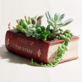 Succulent Pots, Cute Resin Animal Flower Planters Decorations, 4 Inches, Creative Pot for Sempervivum with Drainage, Gift for Women, Man, Office and Garden Decor Book, 5.4″x4.0″x2.2″