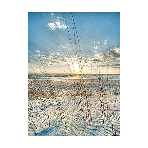Among the Grass Robert Jones Photography Coastal Ocean Beach Sunrise Sunset Print Poster 18x24