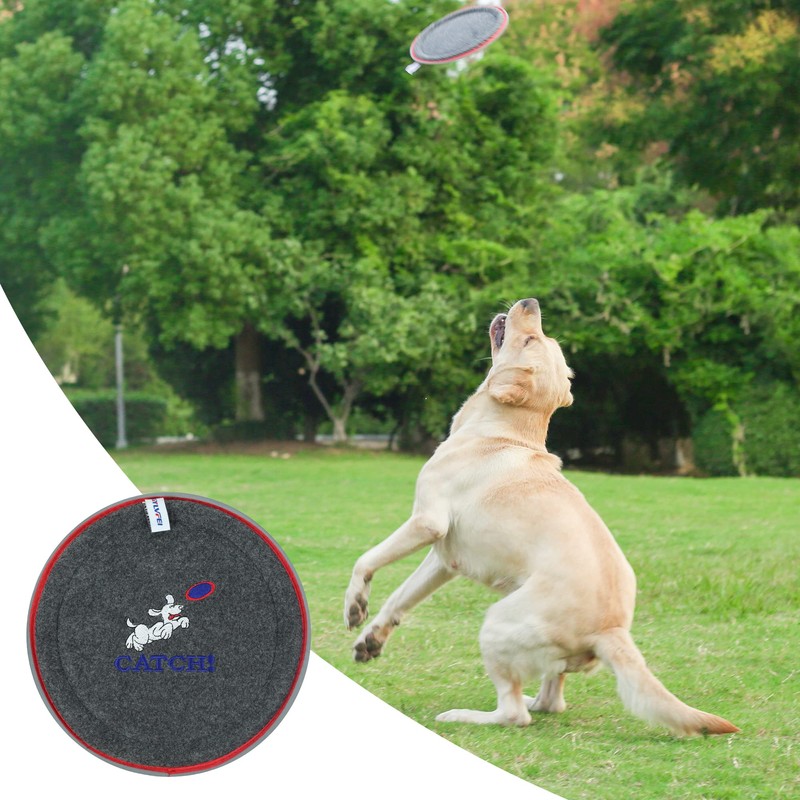 XGYLVFEI Small & Medium Dog Frisbee Dog Catch Toys/Floating Interactive