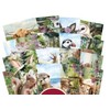 Hunkydory Crafts Highland Wildlife Pocket Pad