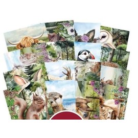 Hunkydory Crafts Highland Wildlife Pocket Pad