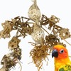 Bonka Bird Toys 2557 Sola Spider - Natural Chewable Toy