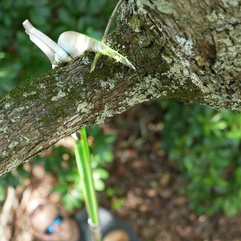 Jameson LS-Series Hollow Core Landscaping Tree Trimming Kit | 16”