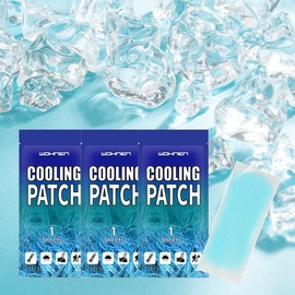 [Gina Industry] Ice cool patch/cool pad/cool pack/cooling patch/fever/cold/2 sizes Ice School Patch 1p (small) 40ea