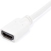 StarTech MDVIHDMIMF Adaptador HDMI a Mini DVI, Hembra HDMI, Conector
