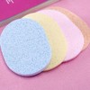 JnT Premium Sea Sponge Individual OPP 8mm 4 Colors / JnT 고급 해면스펀지 개별OPP 8mm 4color