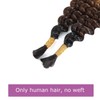DSEKCAIN Ombre Double Drawn Bulk Human Hair for Braiding No