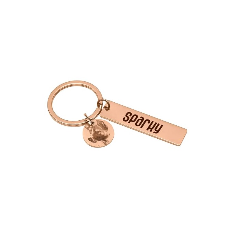 Clepsidra® Placa de identificación personalizada para perros y gatos. Llavero