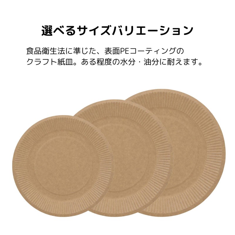 Shimojima HEIKO Disposable Craft Plates for Commercial Use, Stylish, 20