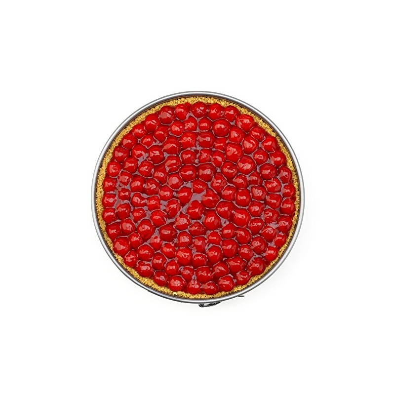 GoodCook Everyday Nonstick Steel Springform Pan, 9", Gray