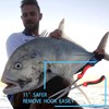 CRAZY SHARK Long Nose Fishing Pliers Hook Remover Tools 11
