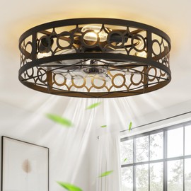 LEDIARY Caged Ceiling Fan with Light and Remote, 20in Small Low Profile Ceiling Fan with Light, 6 Speed Farmhouse Flush Mount Ceiling Fan for Bedroom, Kitchen, Living Room-Black