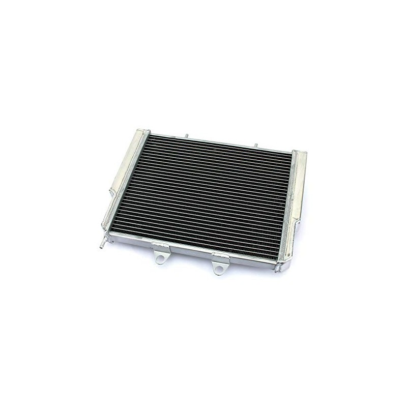 RadBuild 2 Row Aluminum Radiator Fit 2007-2017 Polaris RZR570 RZR800
