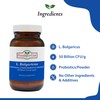 Foods For Gut Lactobacillus Bulgaricus Probiotic Powder 50 Billion cfu's