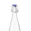 10 Strawberry Street Indro Swing Top Carafe, Large, Blue Lid,