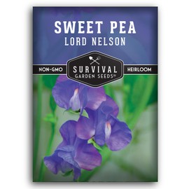 Lord Nelson Sweet Pea Seeds for Planting Outdoors - 1 Packet with Instructions to Plant and Grow Lathyrus odoratus in Your Home Flower Garden - Non-GMO Heirloom Variety - Survival Garden Seeds