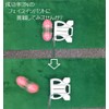 Putter Putting Master Practice Golf Progress Tool RoboGolf Company Raise