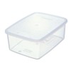 Iwasaki Industry Natural Keeper Snack Case (L) B-352 N
