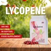 Ved Lycopene 500 mg | 90 softgel, 6 Month Supply.(Pack