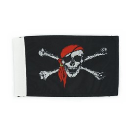 Hot Rides Motorcycle Flag 6 x 9 Or 10 x 15 Inch (6"X9", Pirate Skull)