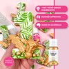 Sweet Sticks Edible Art Decorative Cake Paint 0.5 Ounce (15