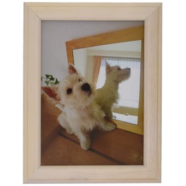 FUJICOLOR フォトフレーム 写真立て MT-K2 L/ハガキ/2L 木製 ホワイト 27541