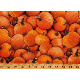 Elizabeth's Studio Cotton Pumpkins Fall Autumn Thanksgiving Harvest Time Fabric Print BTY D514.32