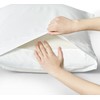 Home Beyond & HB design - 2-Pack Premium Pillowcase Set