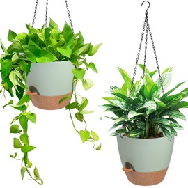 Vanslogreen 2 Pack Self Watering Hanging Planters for Indoor Outdoor Plants, 6 Inch Hanging Plant Pots with Drainage Holes & Removable Tray Plant Hanger Flower Pots for Garden Home (Green)