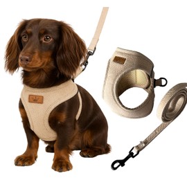 Luxury Tweed Dog Harness & Lead Set - Neutral Aesthetic Design in Brown, Cream, Black & White - British Countryside-Inspired, Puppy or Dog, Durable, Premium Comfort & Style (Oatmeal Beige, Large)