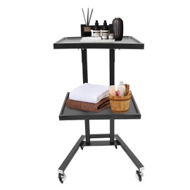 Jiabailie Stainless Steel Salon Rolling Cart,2-Tier Salon Trolley,Utility Cart on Wheels,Folding Tray Trolley,Hairdressing Tool Trolleys for Estheticians,Tattoo Shop (Black)