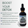 Ganesha Herbs Pine Needle Liquid Tincture Herbal Liquid Dual Extract