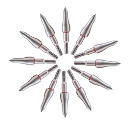100 Grains Field Points,5/16Stainless Steel Archery Target Bullet Point Sharp Targethead Screw in Broadheads (1 Dozen 12 PCS) (5/16(100Grain))