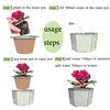 Dphagesy African Violet Pots 6 inch Hexagon Self-Watering Ceramic Violet
