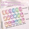 Double Rhythm 0.5 Oz Cat Eye Gel Polish with Magnet