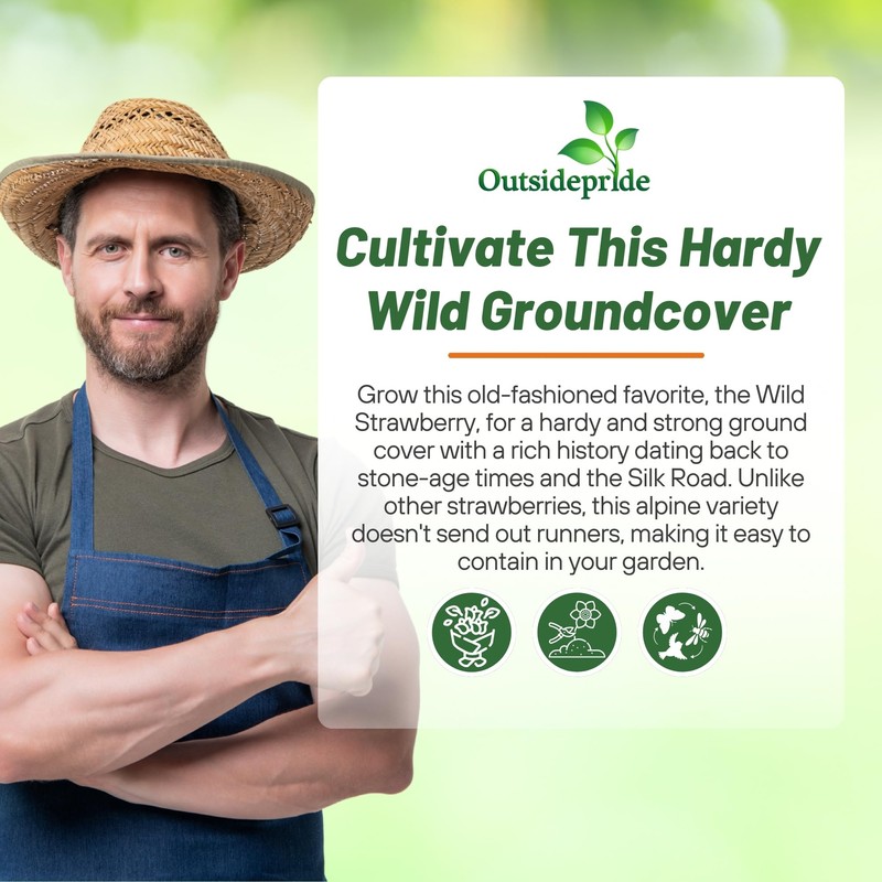 Outsidepride Perennial Strawberry Vesca Baron Low Growing Fruit Plants -