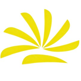 ZSHJG 50pcs Archery Natural Feathers Arrow Feathers 3 Inch Turkey Arrows Fletching Right Wings for DIY Arrows Crossbow Carbon Arrows (Yellow)