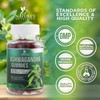 Ashwagandha Gummies 30:1 Extract - 3000mg Equivalent - Advanced Ashwagandha