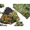 Tin Roof Treasure Live Lichen Assortment 4"x6" Bag for Terrariums