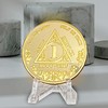 1 Year Sobriety Coin | Alcoholics Anonymous Medallion One Year