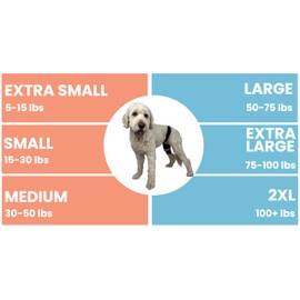 Labra Dog Canine Knee Stifle Brace Wrap, Metal Splint Hinged Flexible Support Brace for K9 ACL, CCL, Luxating Patella, Cruciate Ligament Sprains in Back, Rear, Hind Leg (2XL)